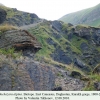 pseudochazara alpina daghestan kurakh biotope 1